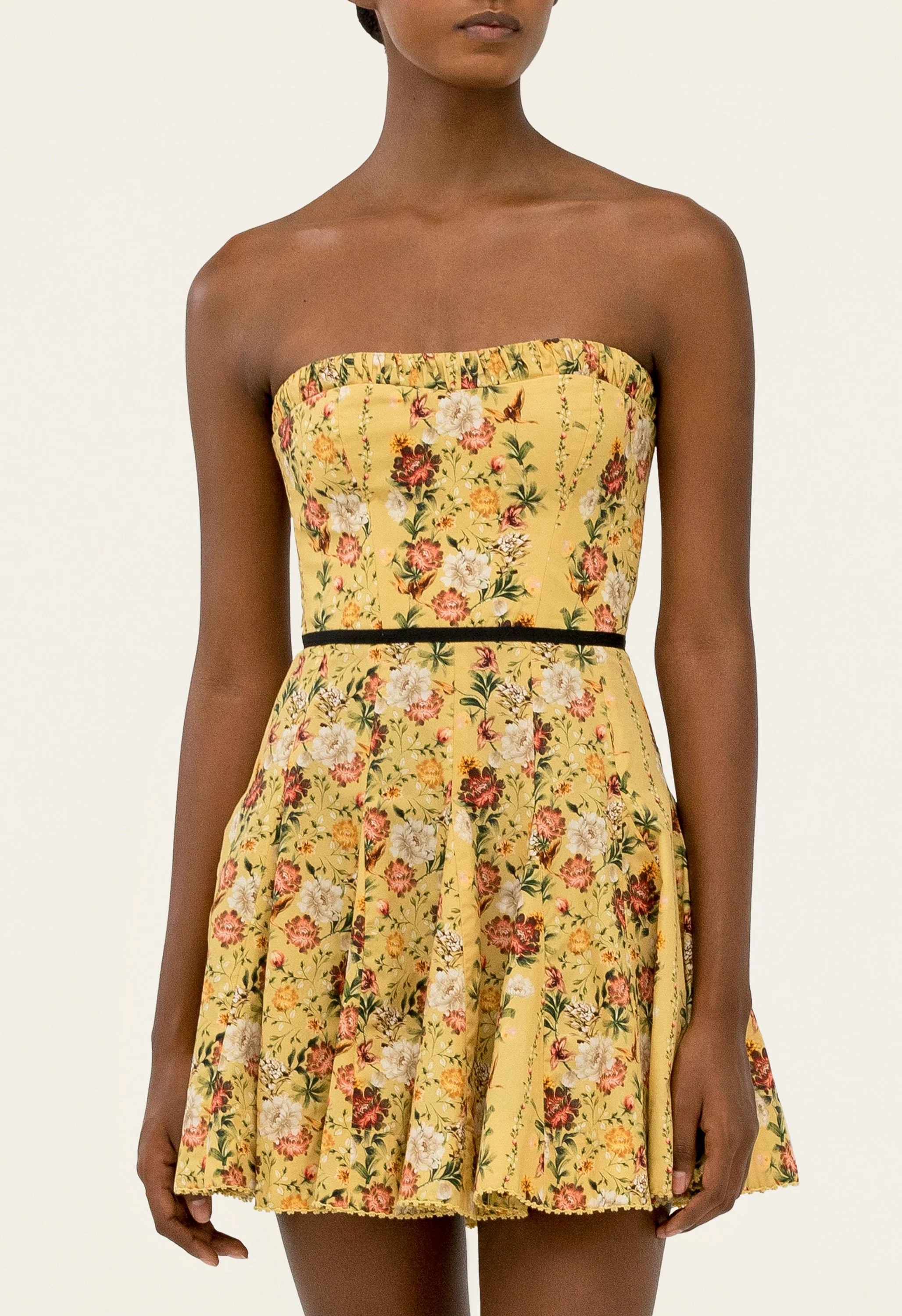 Caudal Paramo Mini Dress - Image 5
